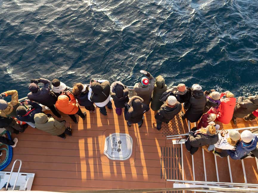 Tromsø: Whale Watching Tour by Hybrid-Electric Boat - The return through Haugnoes and Tromsø