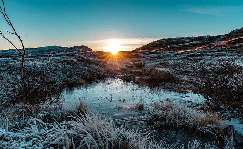 Tromsø: Winter Fjord Road Trip with Citizen Science - Key points to know before you book