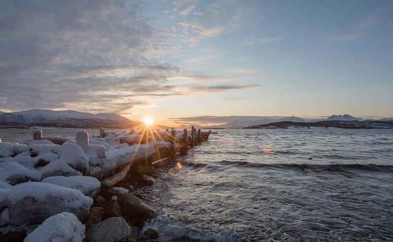 Tromsø: Winter Fjord Road Trip with Citizen Science - Fjords, mountains, beaches, and small villages