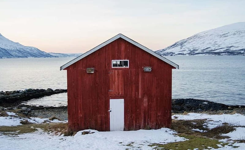 Tromsø: Winter Fjord Road Trip with Citizen Science - Citizen science with a practical purpose