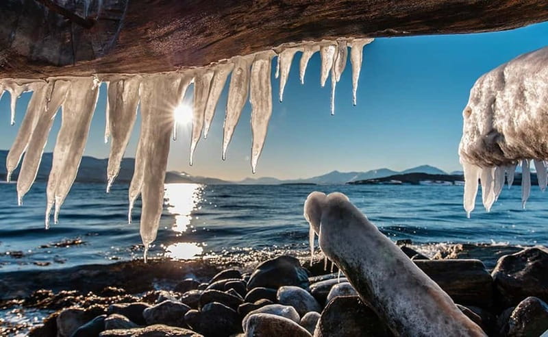 Tromsø: Winter Fjord Road Trip with Citizen Science - What the four-hour timing means for you
