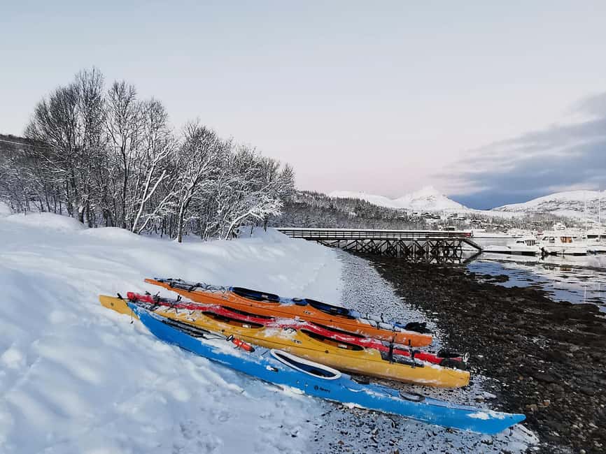 Tromsø: Winter Sea Kayaking Tour with Wildlife Sightings - The fire, hot drinks, and a proper Arctic pause
