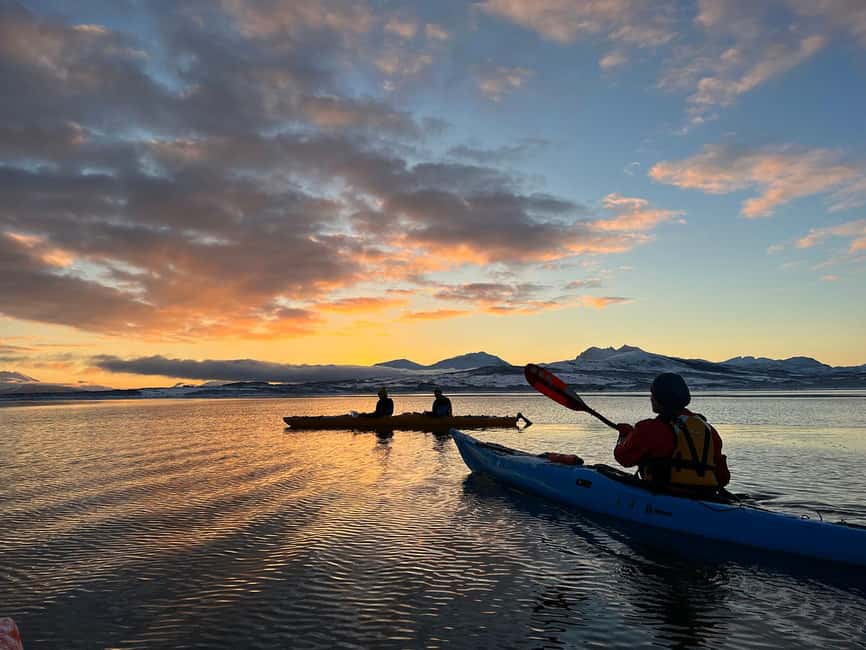Tromsø: Winter Sea Kayaking Tour with Wildlife Sightings - How much value you get for $191