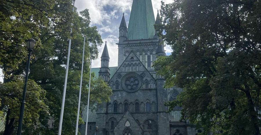 Trondheim: 2-hour City Walking Tour - Solsiden and the Nid River warehouses