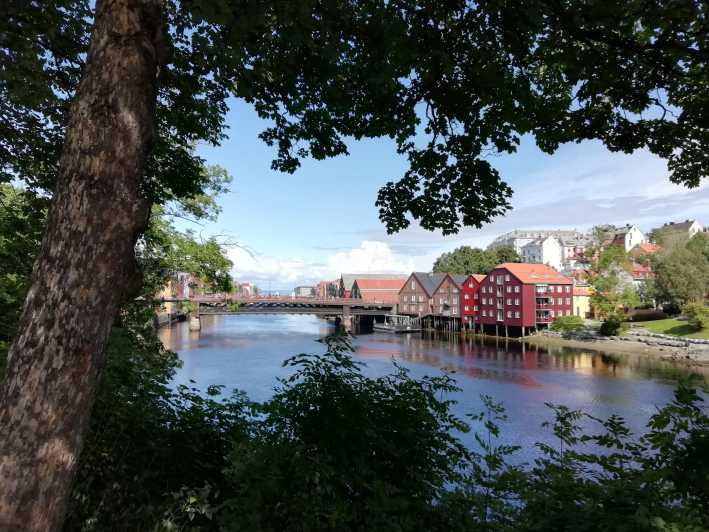 Trondheim : Explore the city of kings with a local guide - Key points to know before you book