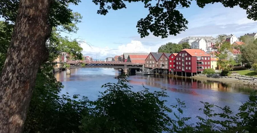 Trondheim : Explore the city of kings with a local guide - What the guide adds to a compact city