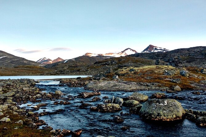 Trondheim Private Walking Tour with a Local - What you may see during two hours