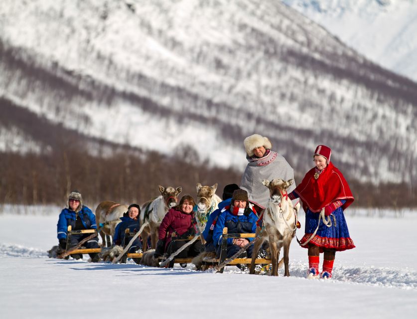 True Locals of the Arctic: Reindeer Sledding at Camp Tamok - Stories, questions, and Sámi culture