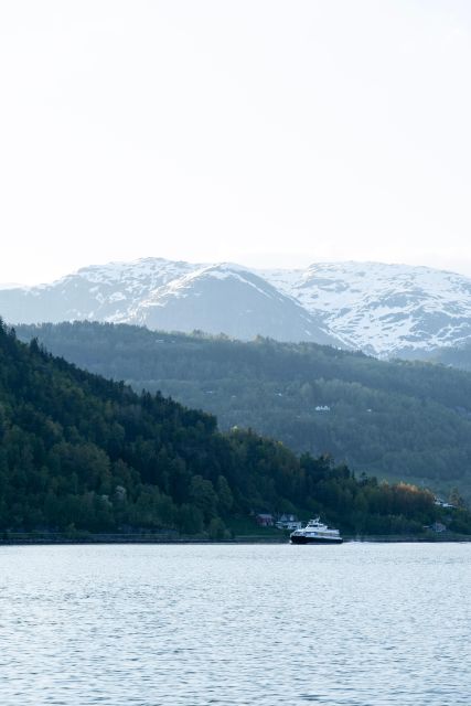 Ulvik adventure: Exploring Hardangerfjord's Osafjord by RIB - What the return through Ulvikafjord feels like