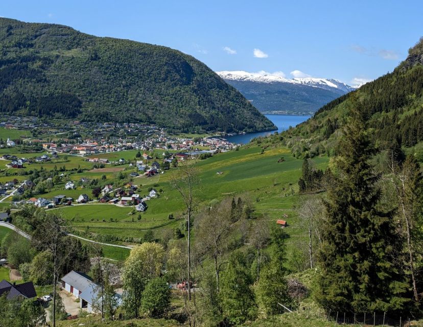 Vik i Sogn: Authentic Farm Visit - The Views Over Vik and Sognefjorden