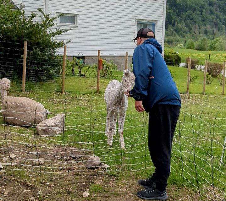 Vik i Sogn: Authentic Farm Visit - Finding the Meeting Point at Steim