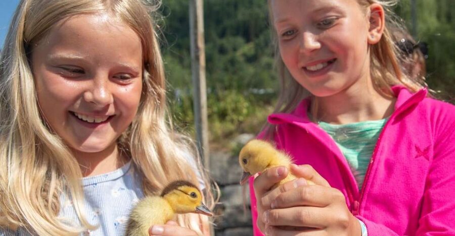 Vik i Sogn: Authentic Farm Visit - Booking Flexibility and Language Options