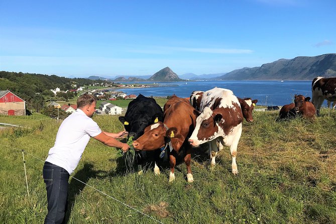 Viking Islands from Alesund: 5-Hour Private Group Tour - Aksla Mountain and the view that defines Ålesund