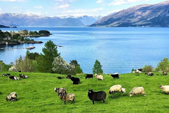 Viking Islands from Alesund: 5-Hour Private Group Tour - The miracle house and Ålesund’s fire