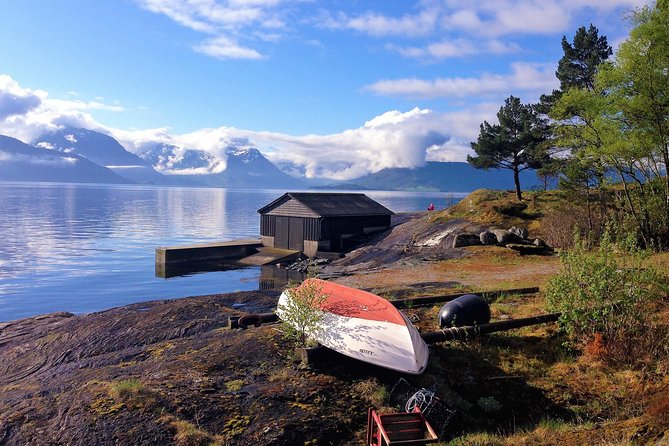 Viking Islands from Alesund: 5-Hour Private Group Tour - Borgund, Viking-era trade, and Sunnmøre’s first town