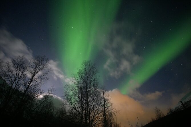 Watching The Aurora Dance - The cabin makes the cold manageable