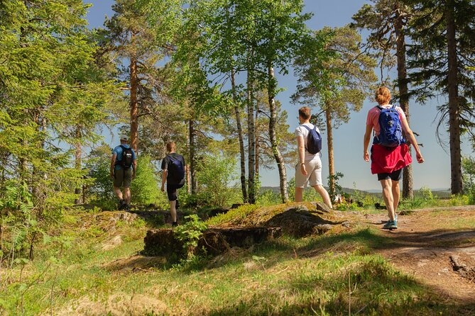 Wildlife Forest Hike - Traditional hytte cabins and Norwegian snack stops