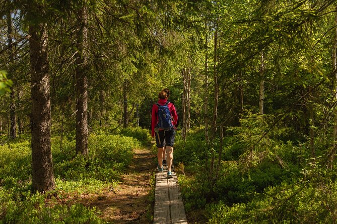 Wildlife Forest Hike - Finishing at Sognsvann Lake and taking the metro home
