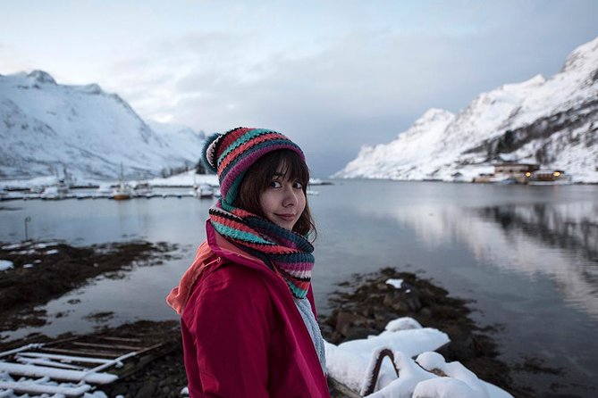 Winter Fjord Road Trip with Wandering Owl - Leaving Tromsø for Kvaløya’s winter fjords