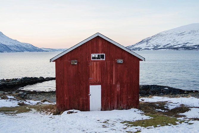 Winter Fjord Road Trip with Wandering Owl - Grotfjord, the first major fjord stop