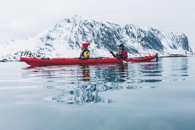 Winter Half Day Kayak Tour - Key points to know before booking