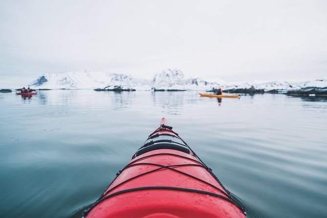 Winter Half Day Kayak Tour - Why Eggum makes a strong winter starting point