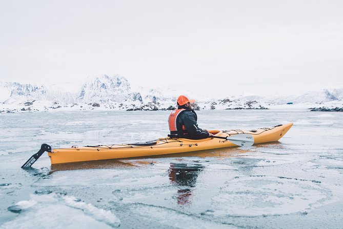 Winter Half Day Kayak Tour - A simple break with warm drinks and cookies