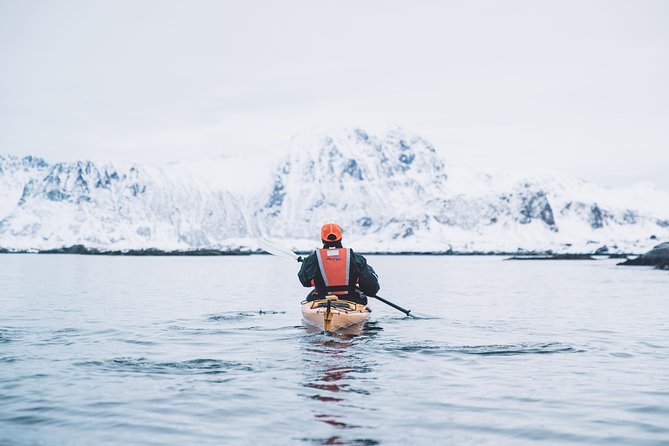 Winter Half Day Kayak Tour - Is $118.45 good value for three hours?