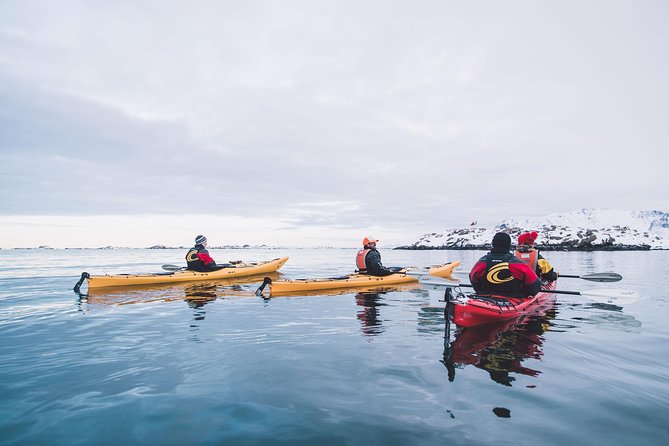 Winter Half Day Kayak Tour - Who should book this Eggum kayaking trip?