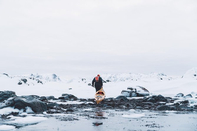 Winter Half Day Kayak Tour - Booking timing and weather planning